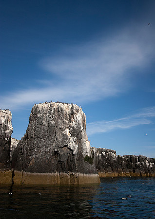 Staple Island