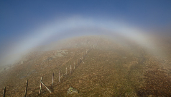 Fog rainbow